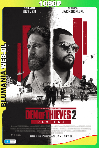 El robo perfecto 2 (2025) 1080p WEB-DL Latino