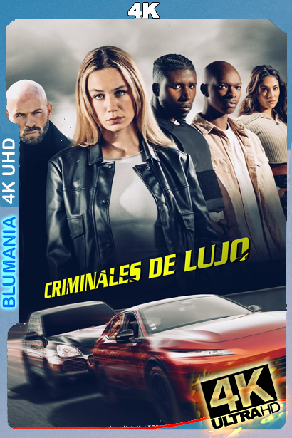 Criminales de Lujo (2025) 4K UHD WEB-DL Latino