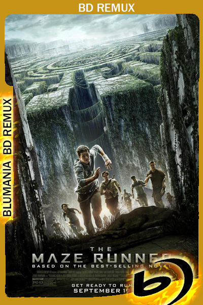 Maze Runner: Correr o morir (2014) 1080p BDRemux Latino