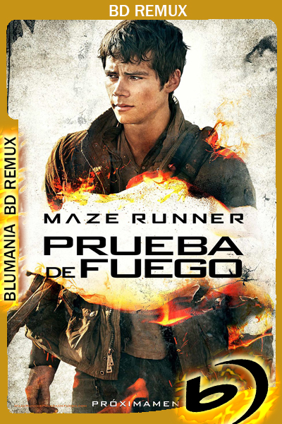 Maze Runner: Prueba de Fuego (2015) 1080p BDRemux Latino