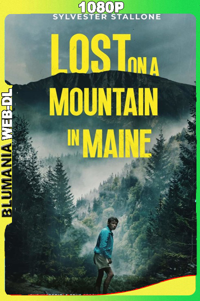Perdido en la montaña (2024) 1080p WEB-DL Latino