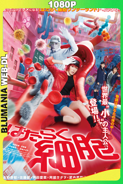 Cells at Work! (2024) 1080p WEB-DL Latino