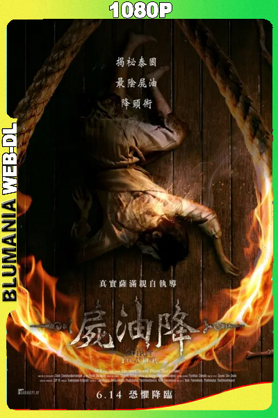 El cazador de espiritus (2024) WEB-DL 1080p Latino