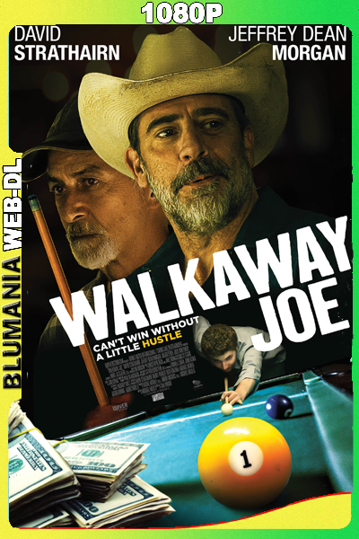 Una jugada maestra (2020) 1080p WEB-DL Latino