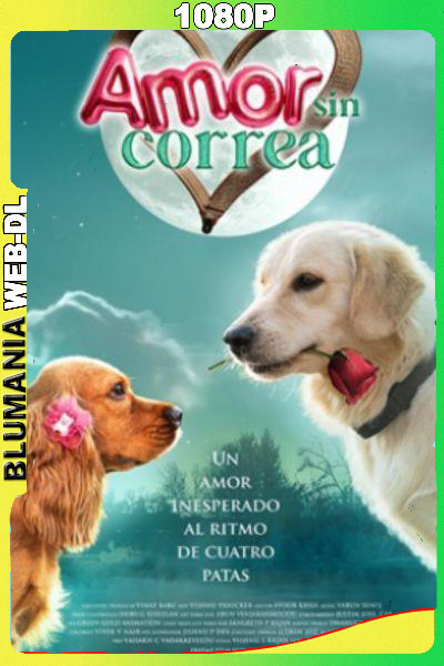 Amor sin correa (2023) 1080p WEB-DL Latino