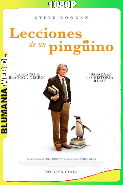 Lecciones de un pingüino (2024) 1080p WEB-DL Latino