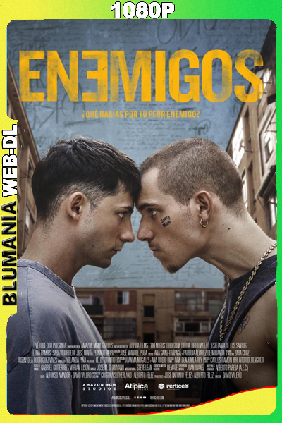 Enemigos (2025) 1080p WEB-DL Español