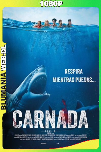 Carnada (2024) 1080p WEB-DL Latino