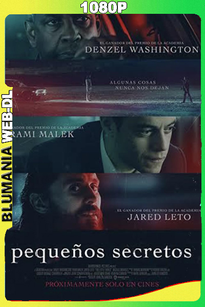 Pequeños Secretos (2021) 1080p WEB-DL Latino