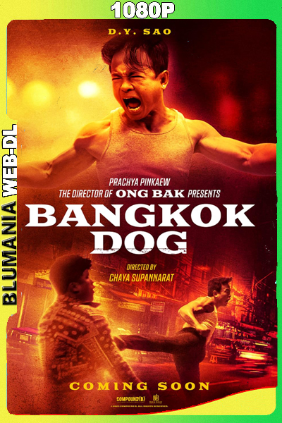 Misión Bangkok (2024) 1080p WEB-DL Latino