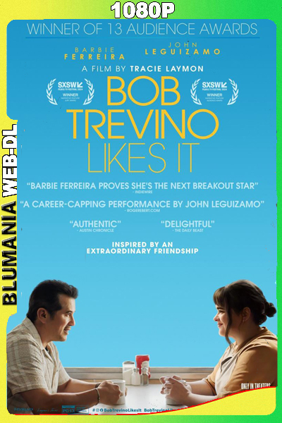 Un Papa Mejor (2024) 1080p WEB-DL Latino