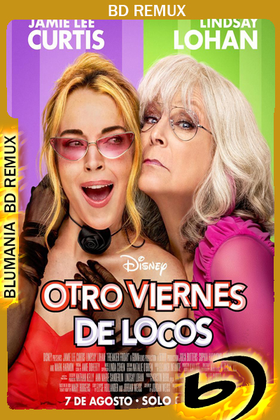 Otro viernes de locos (2025) BDREMUX Latino