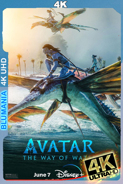 Avatar 2 (2022) WEB-DL 4K UHD Latino
