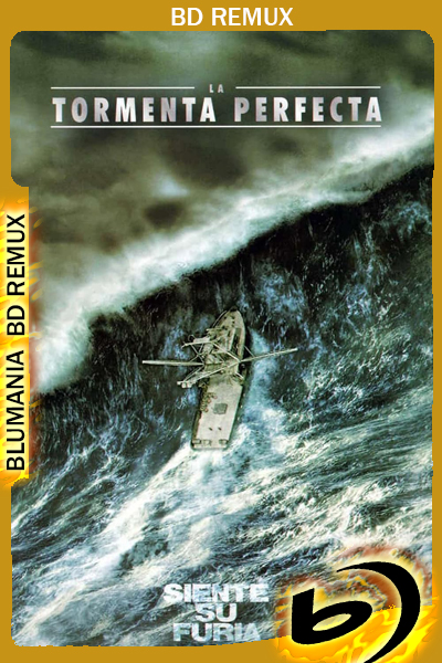 Una Tormenta Perfecta (2000) [Full 1080p] BDREMUX [Latino-Inglés]