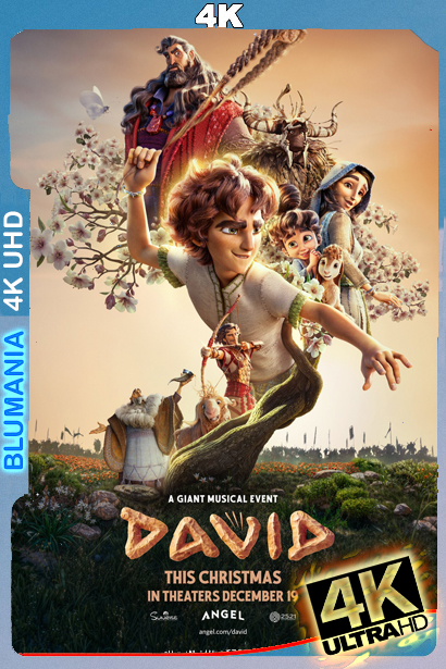 David (2025) WEB-DL 4K SDR Latino