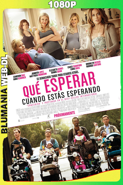 Qué esperar cuando se está esperando (2012) WEB DL 1080p Latino