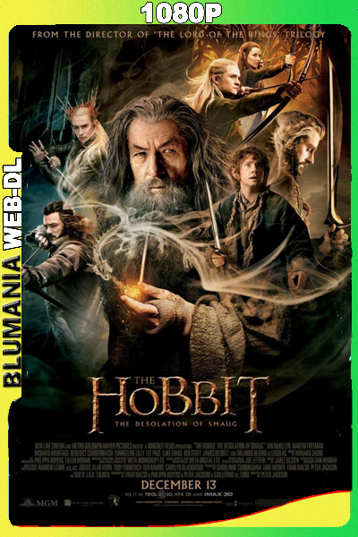 El Hobbit: La desolación de Smaug (2013) WEB DL 1080p Latino