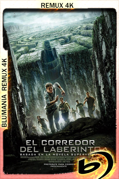 Maze Runner (2014) [2160p] BDREMUX 4K HDR10 [Latino-Inglés]