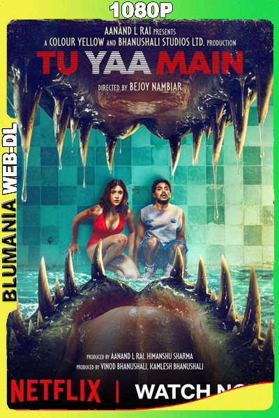 Tu Yaa Main (2026) WEB-DL 1080p Latino