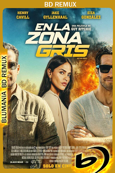 In the Grey (2026) [Full 1080p] BD-REMUX Latino